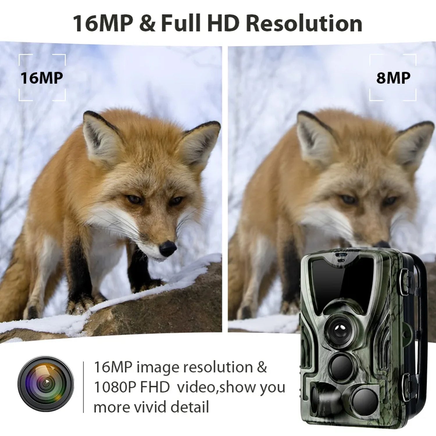 TrailyEye