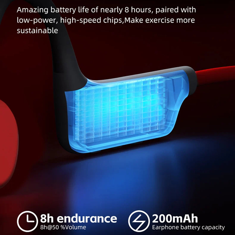 BriNeaxi