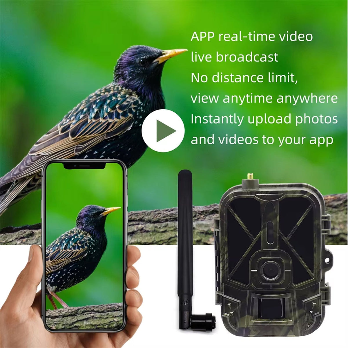 BushiCame