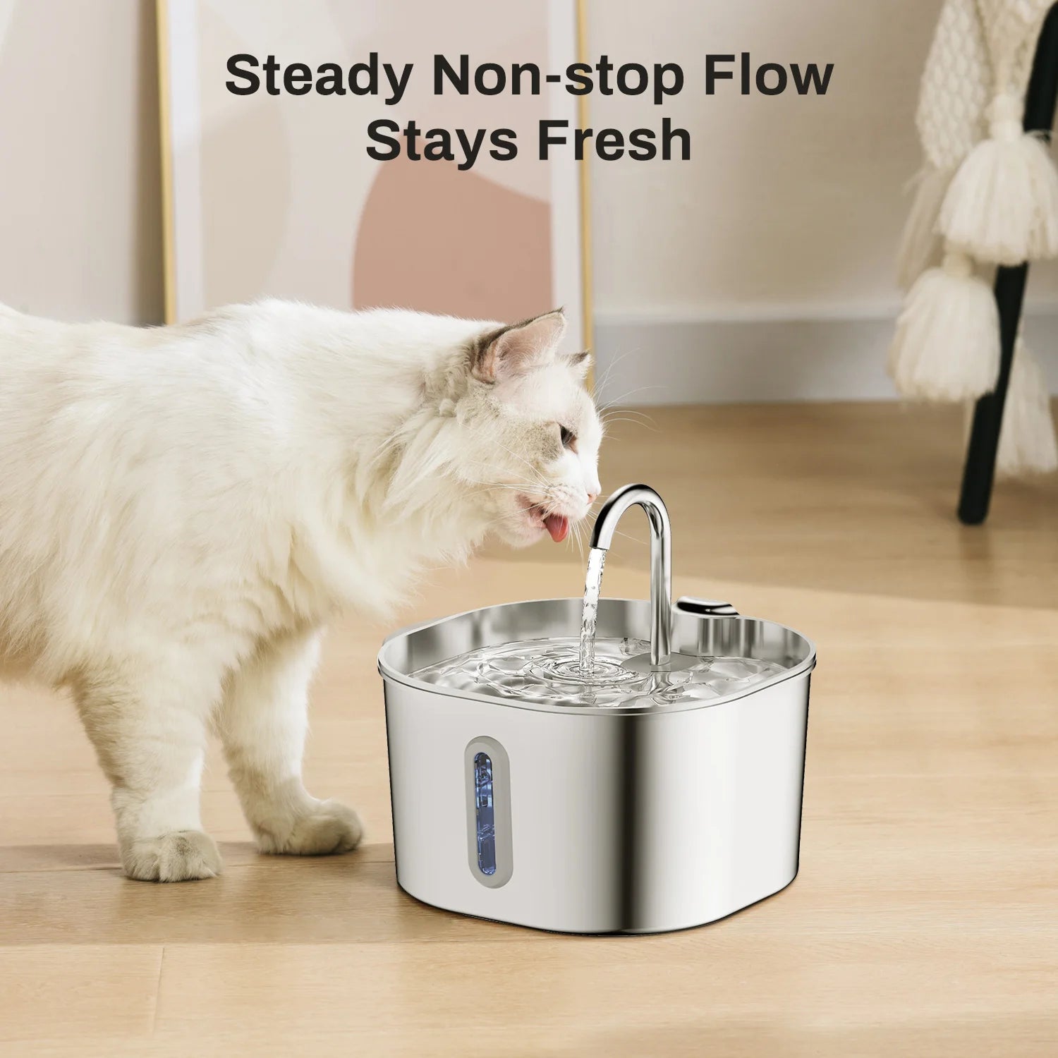 PurrFlowy