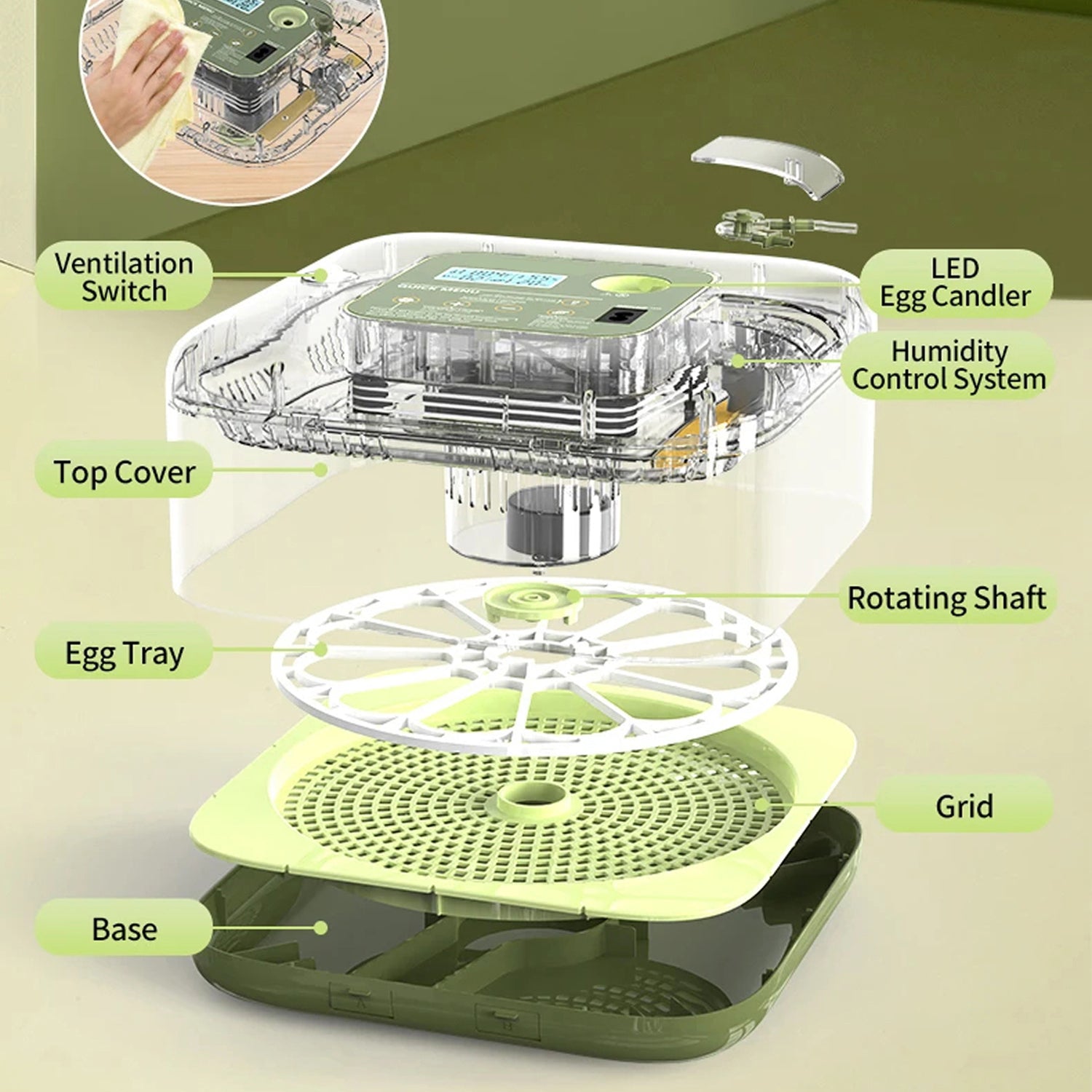 EggOriva