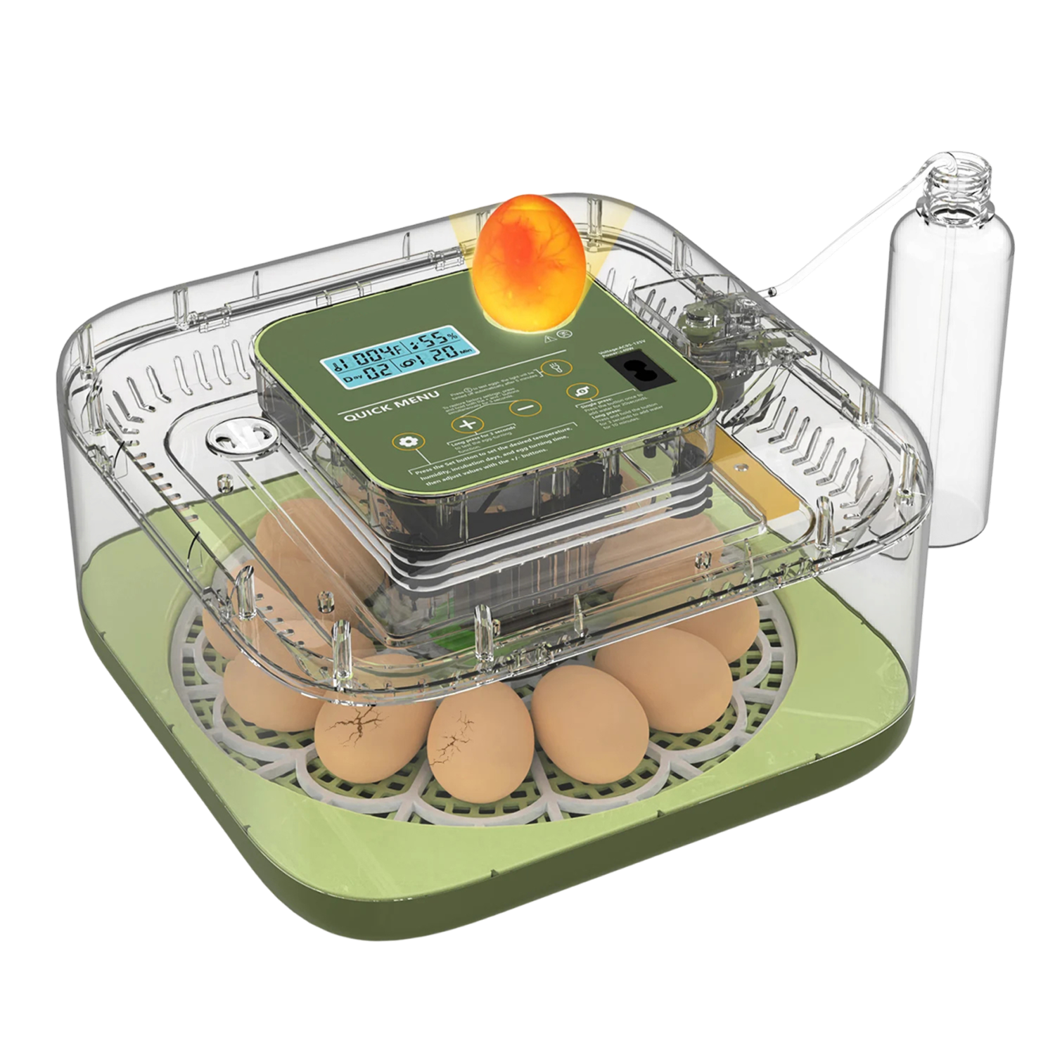 EggOriva