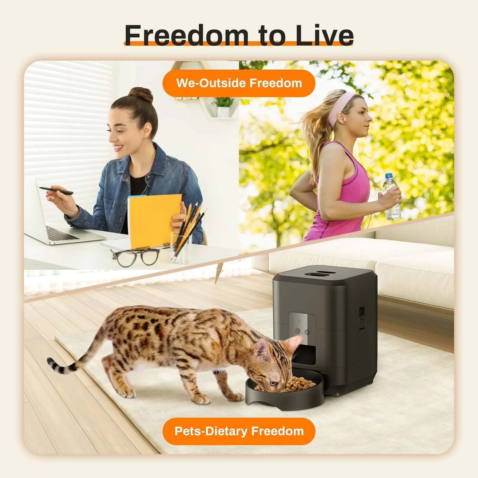 KittiDish