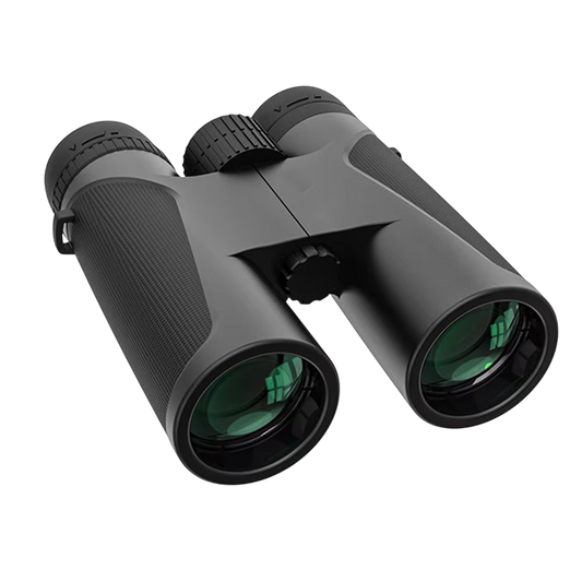NestVizi V1