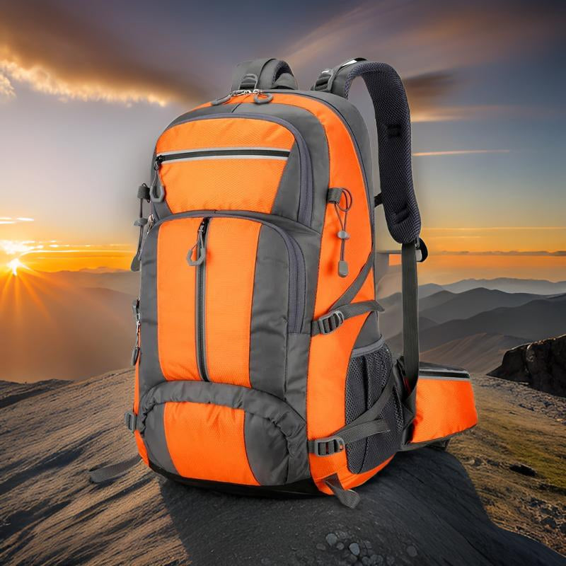 PionNomad