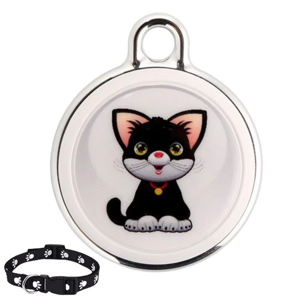 PurrPointo