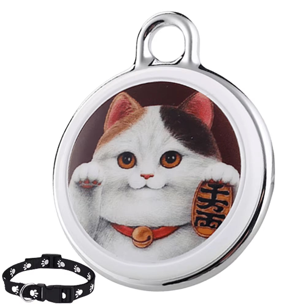 PurrPointo