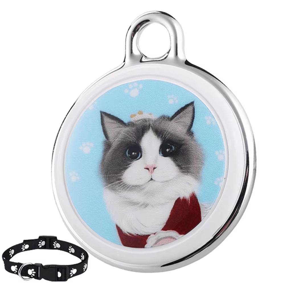 PurrPointo