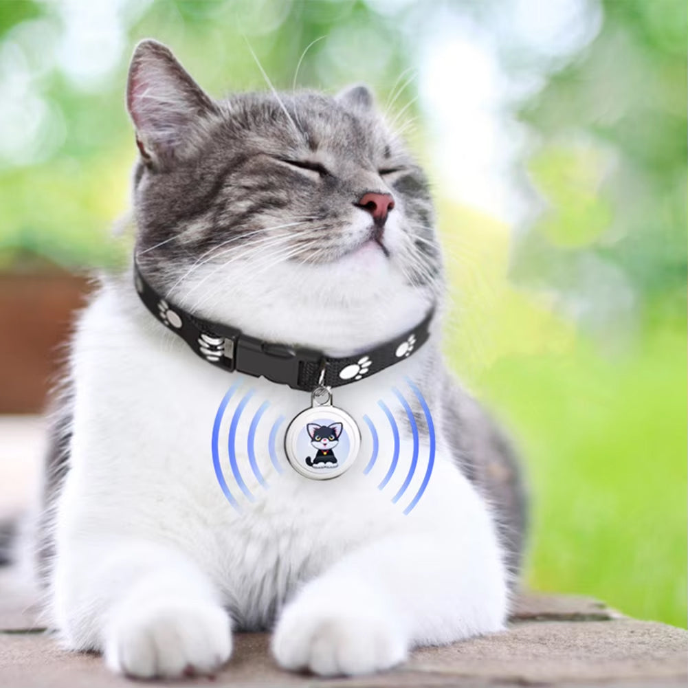 PurrPointo