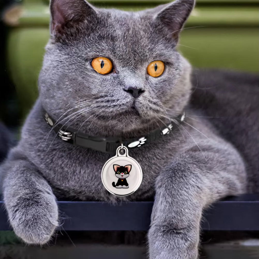 PurrPointo