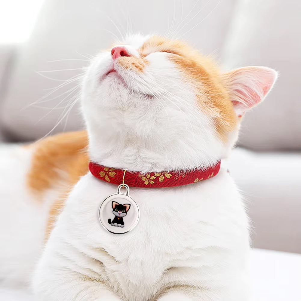 PurrPointo