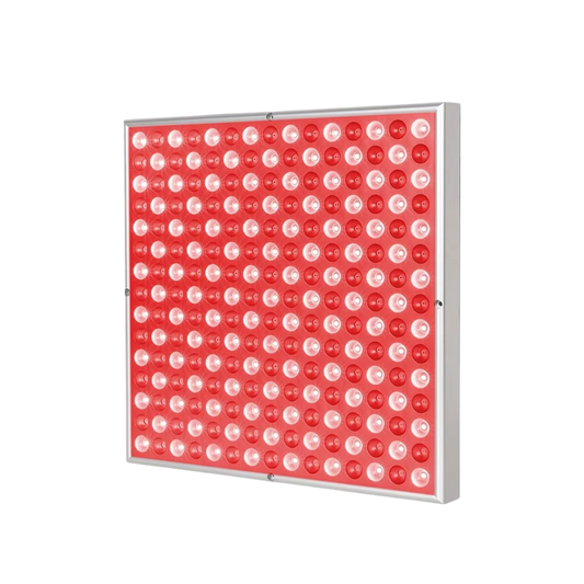 RubyVoxe