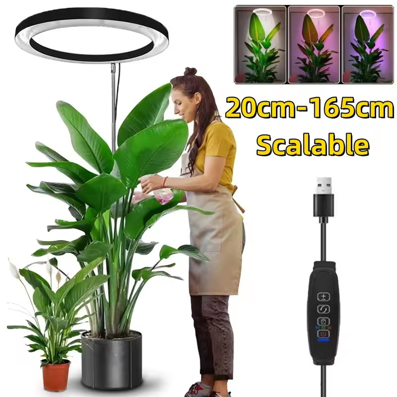 VynGreen