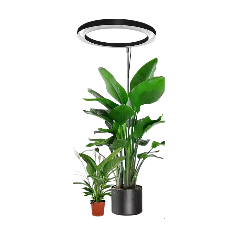VynGreen