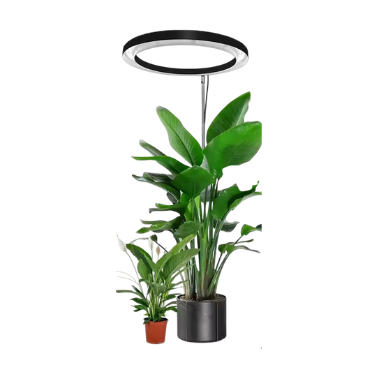 VynGreen v1